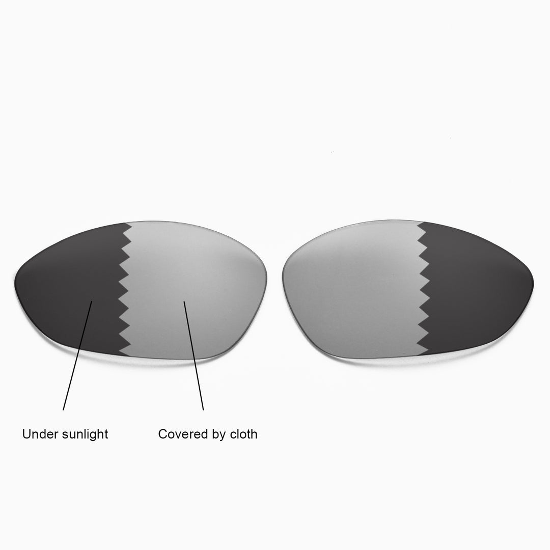 Transition Polarized
