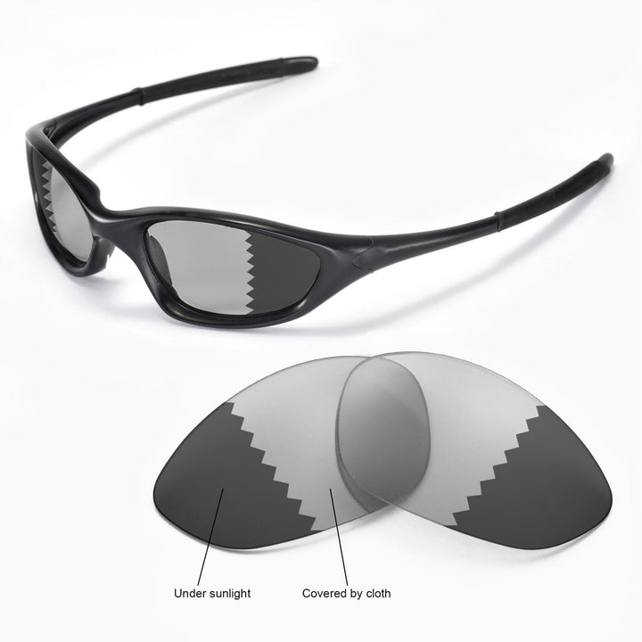 Transition Polarized
