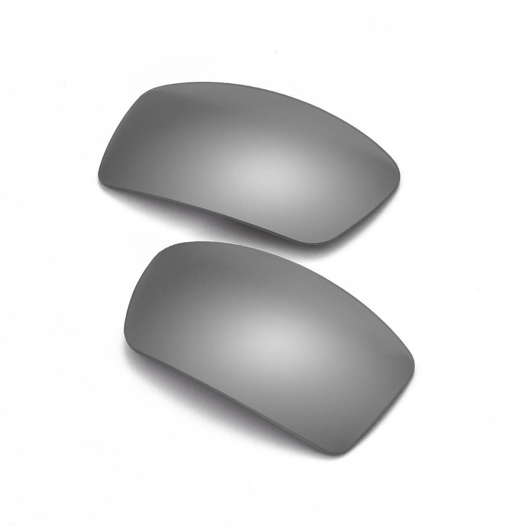 Titanium Mr. Shield Polarized