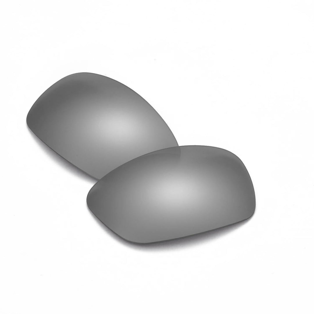 Titanium Mr. Shield Polarized