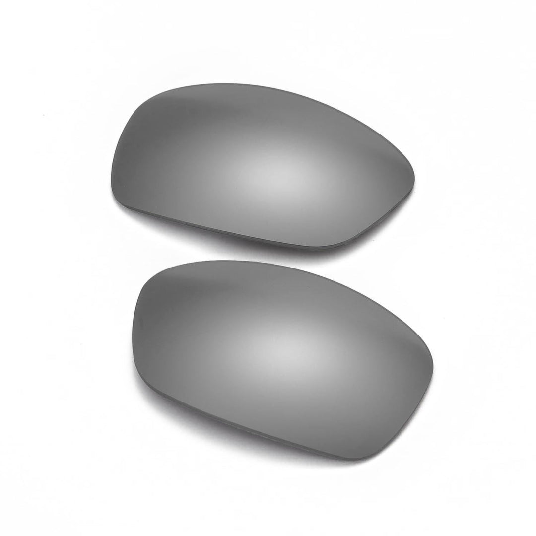 Titanium Mr. Shield Polarized