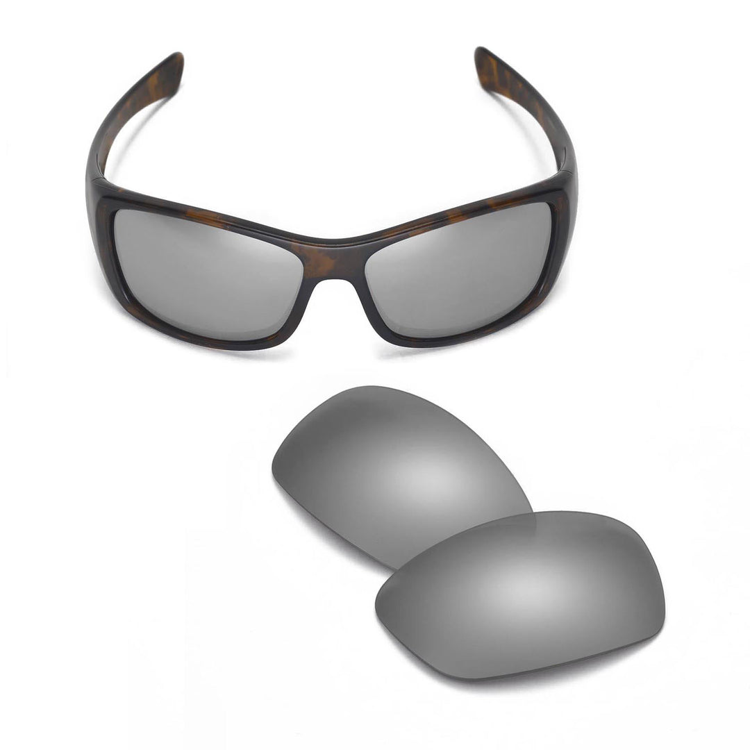 Titanium Mr. Shield Polarized