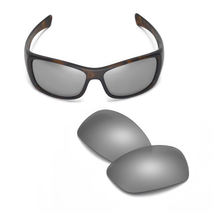 Titanium Mr. Shield Polarized