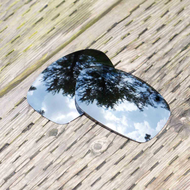 Titanium Mr. Shield Polarized