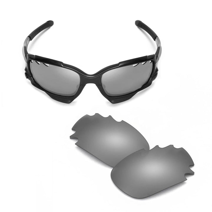 Titanium Mr. Shield Polarized