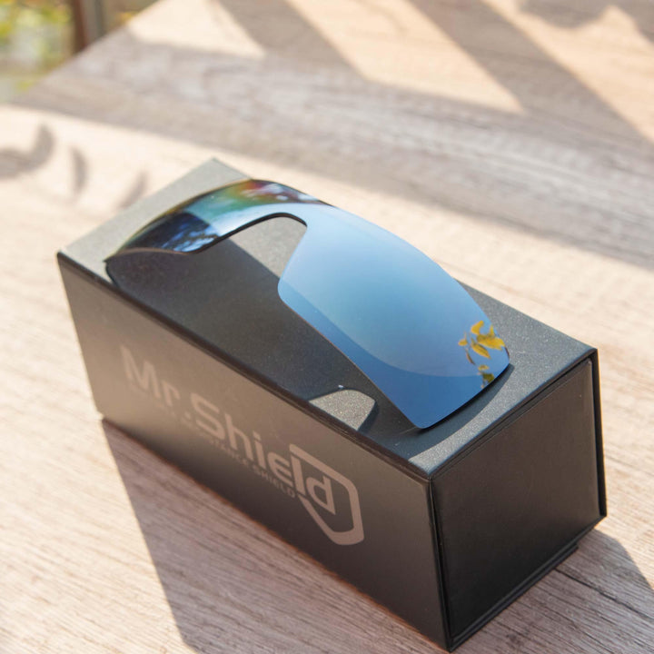 Titanium Mr. Shield Polarized