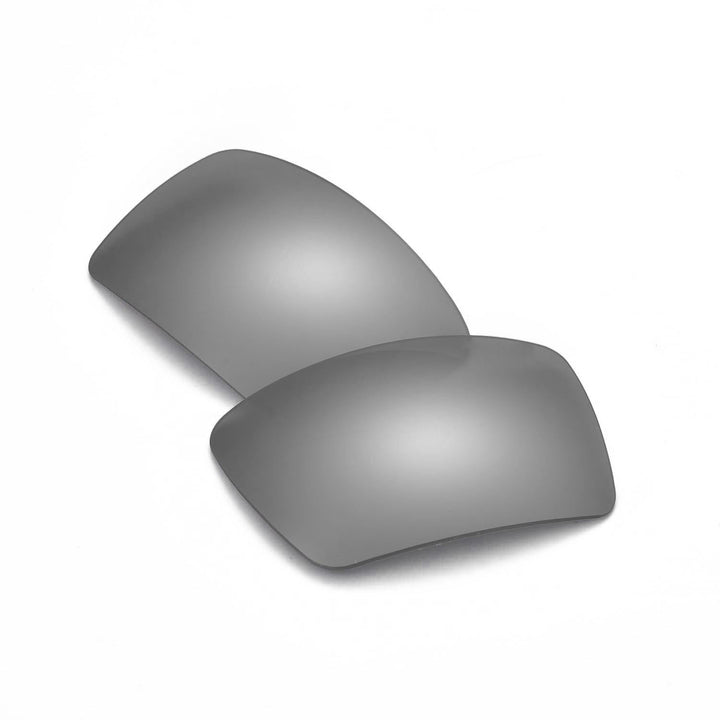 Titanium Mr. Shield Polarized