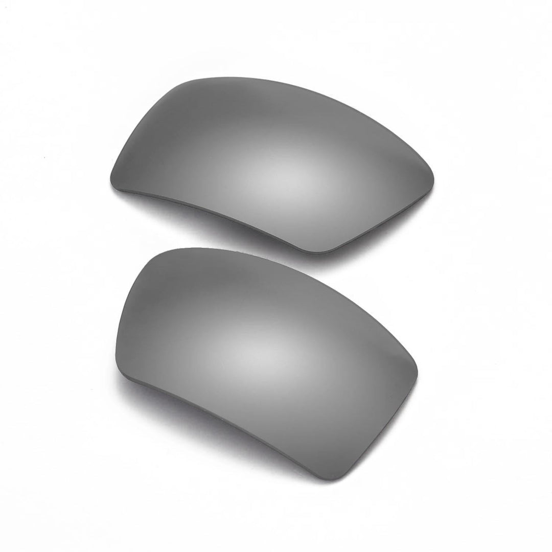 Titanium Mr. Shield Polarized