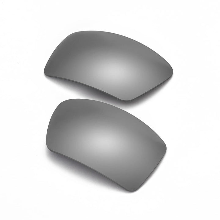 Titanium Mr. Shield Polarized