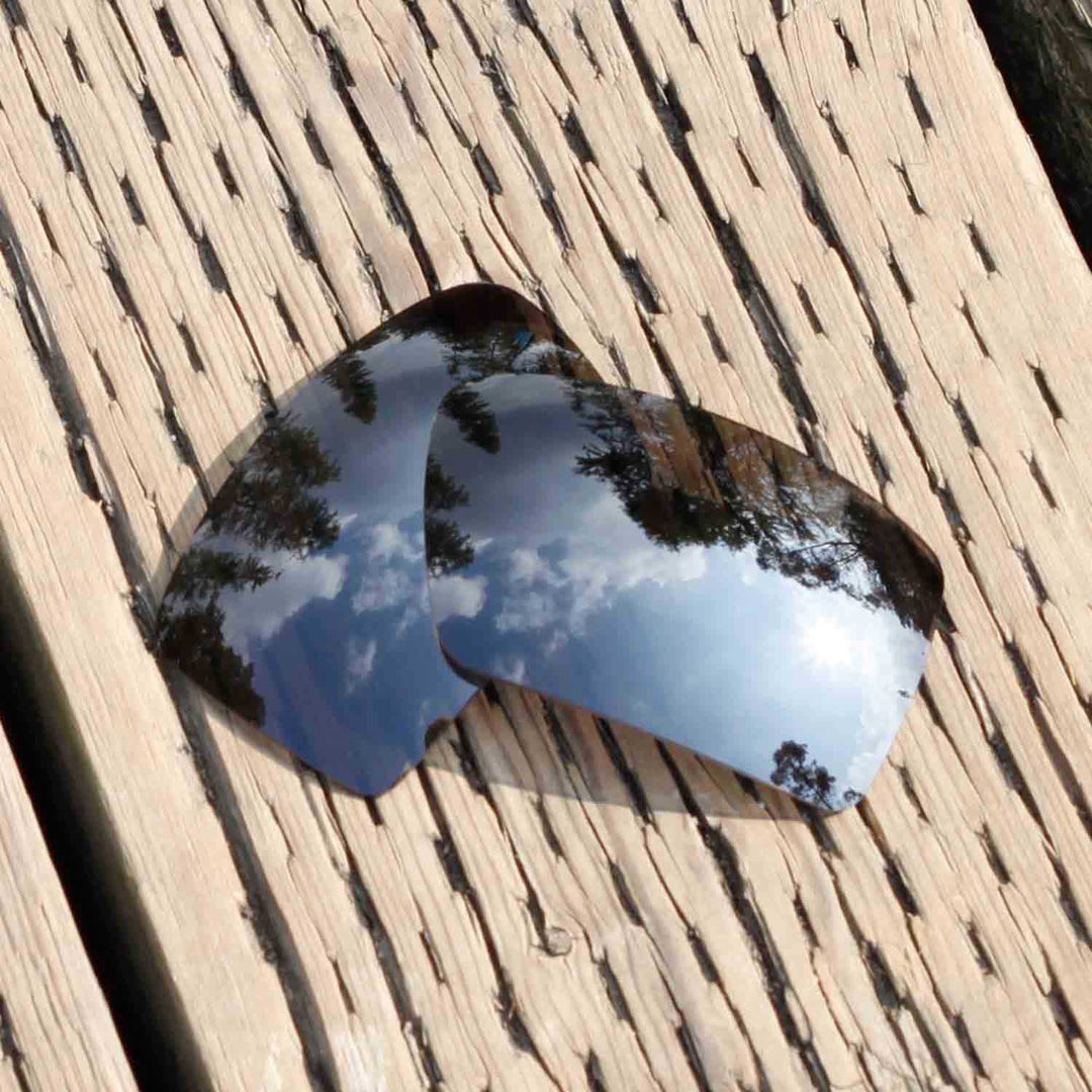 Black Mr. Shield Polarized