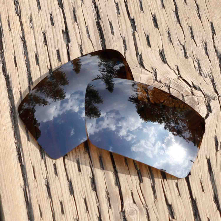 Brown Mr. Shield Polarized