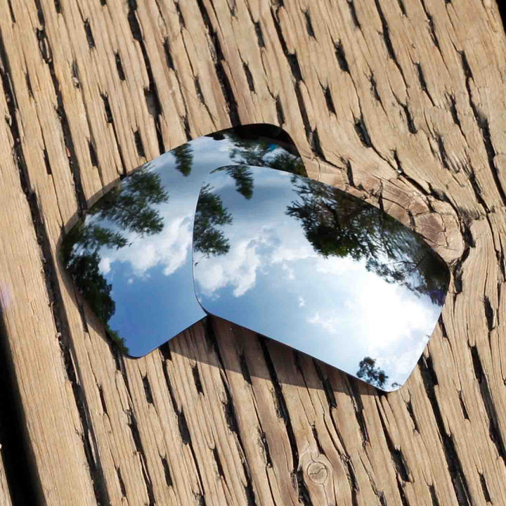 Titanium Mr. Shield Polarized
