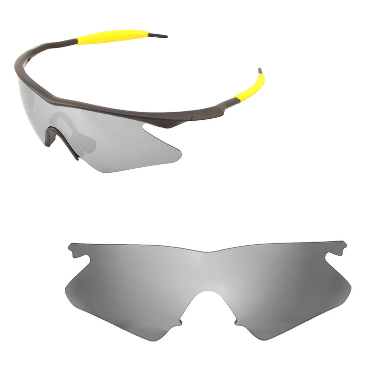 Titanium Mr. Shield Polarized