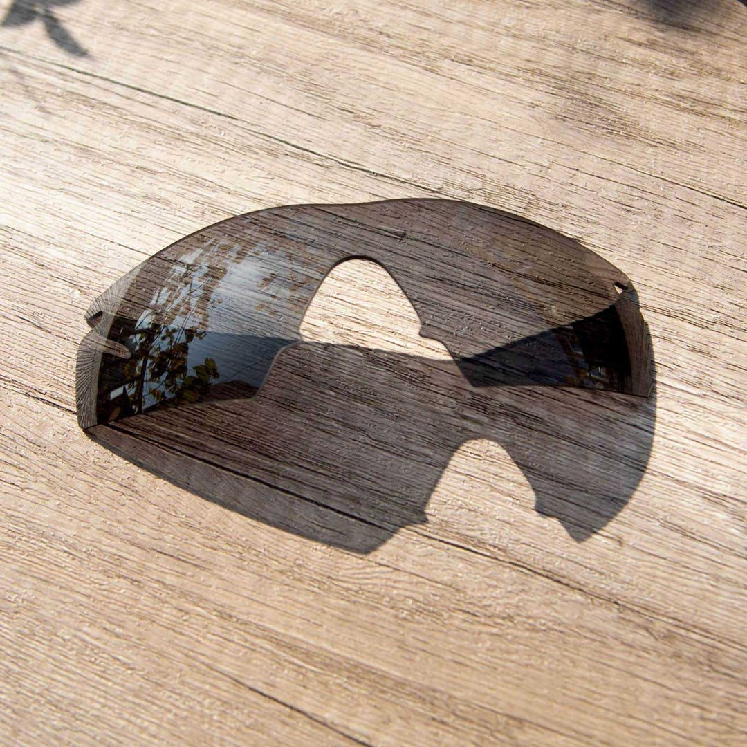 Black Mr. Shield Polarized