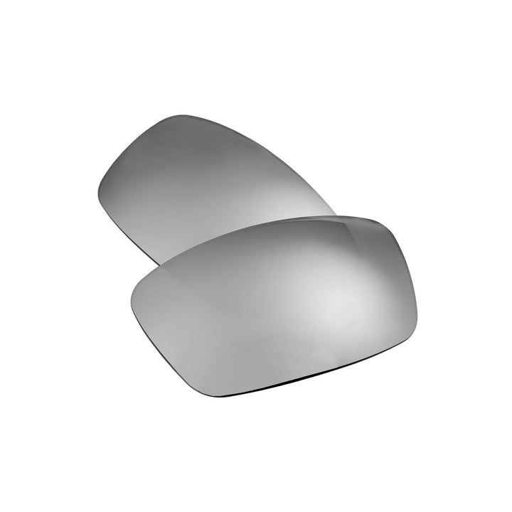 Titanium Mr. Shield Polarized