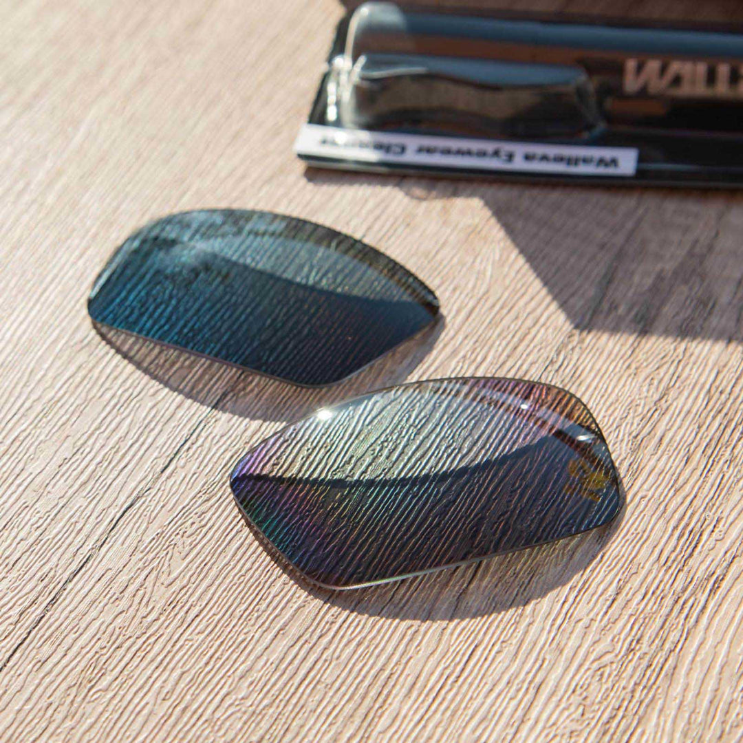 Black Mr. Shield Polarized