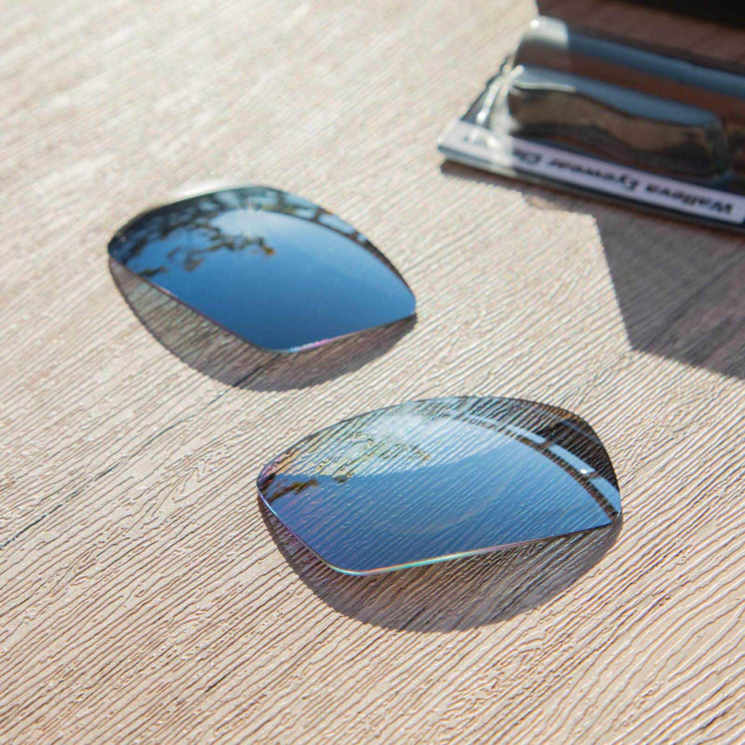 Titanium Mr. Shield Polarized