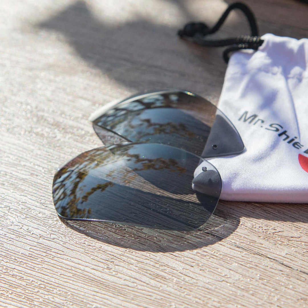 Black Mr. Shield Polarized