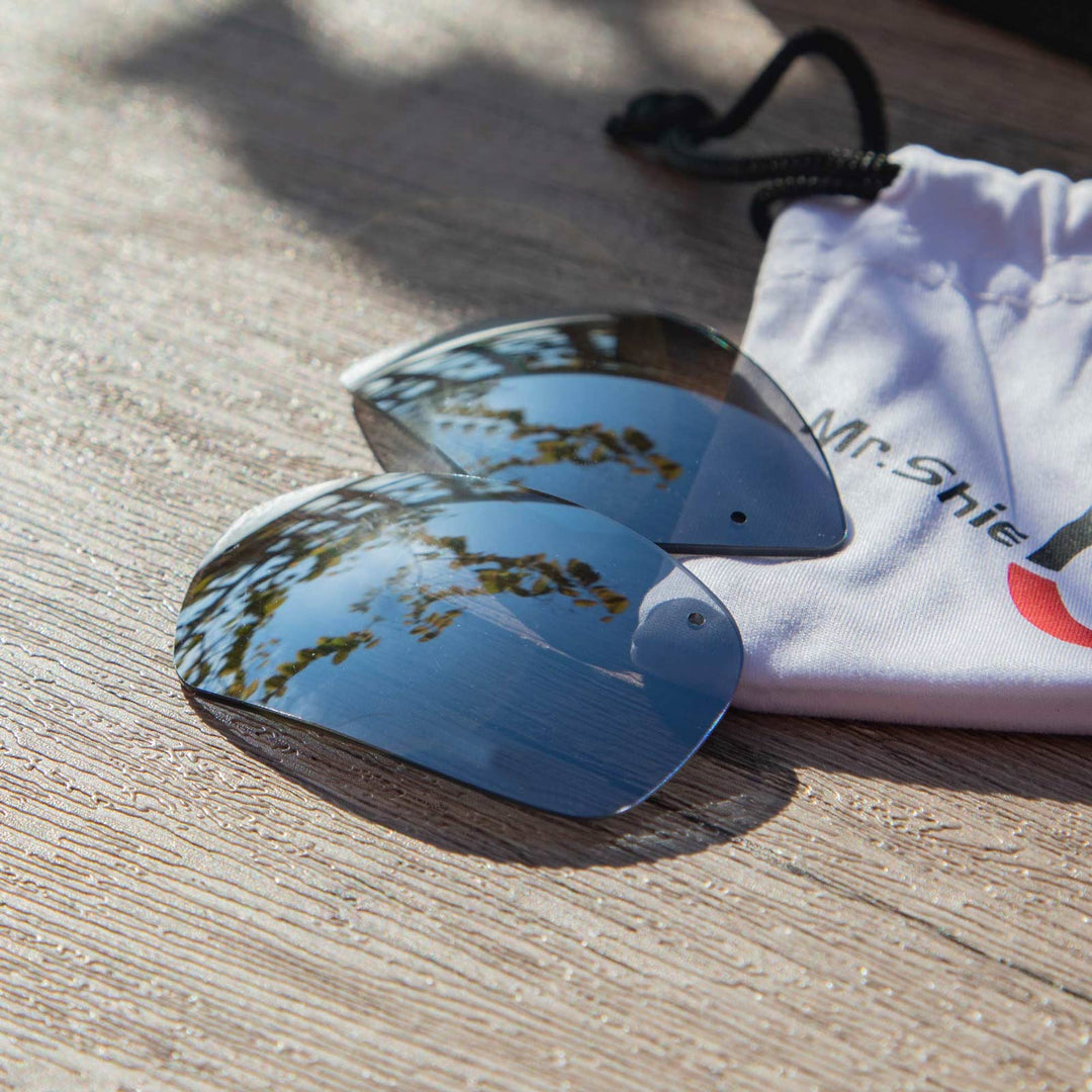 Titanium Mr. Shield Polarized