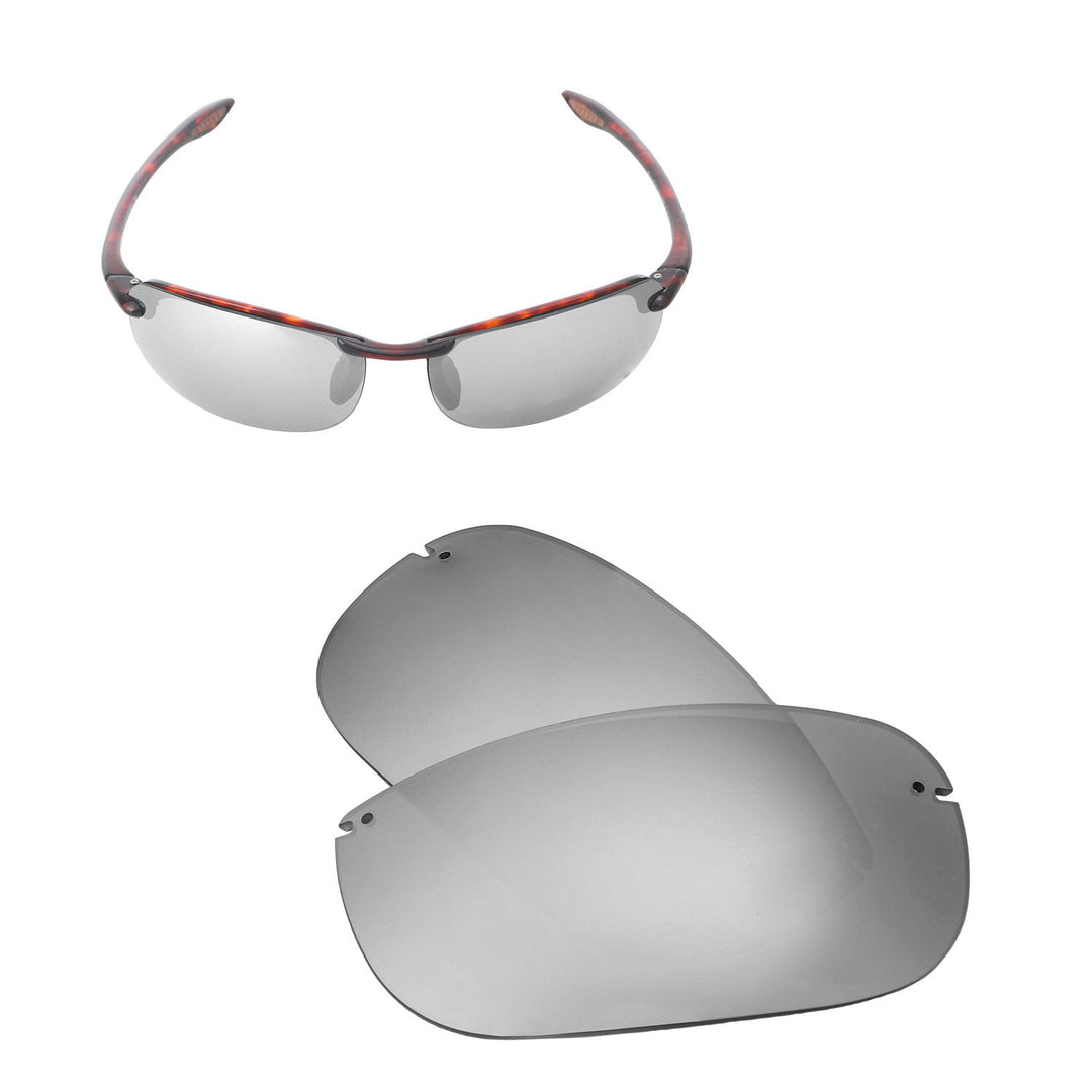 Titanium Mr. Shield Polarized