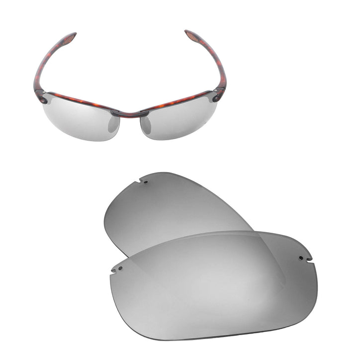 Titanium Mr. Shield Polarized