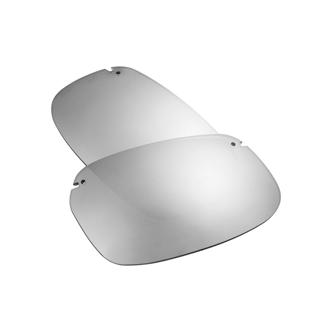 Titanium Mr. Shield Polarized