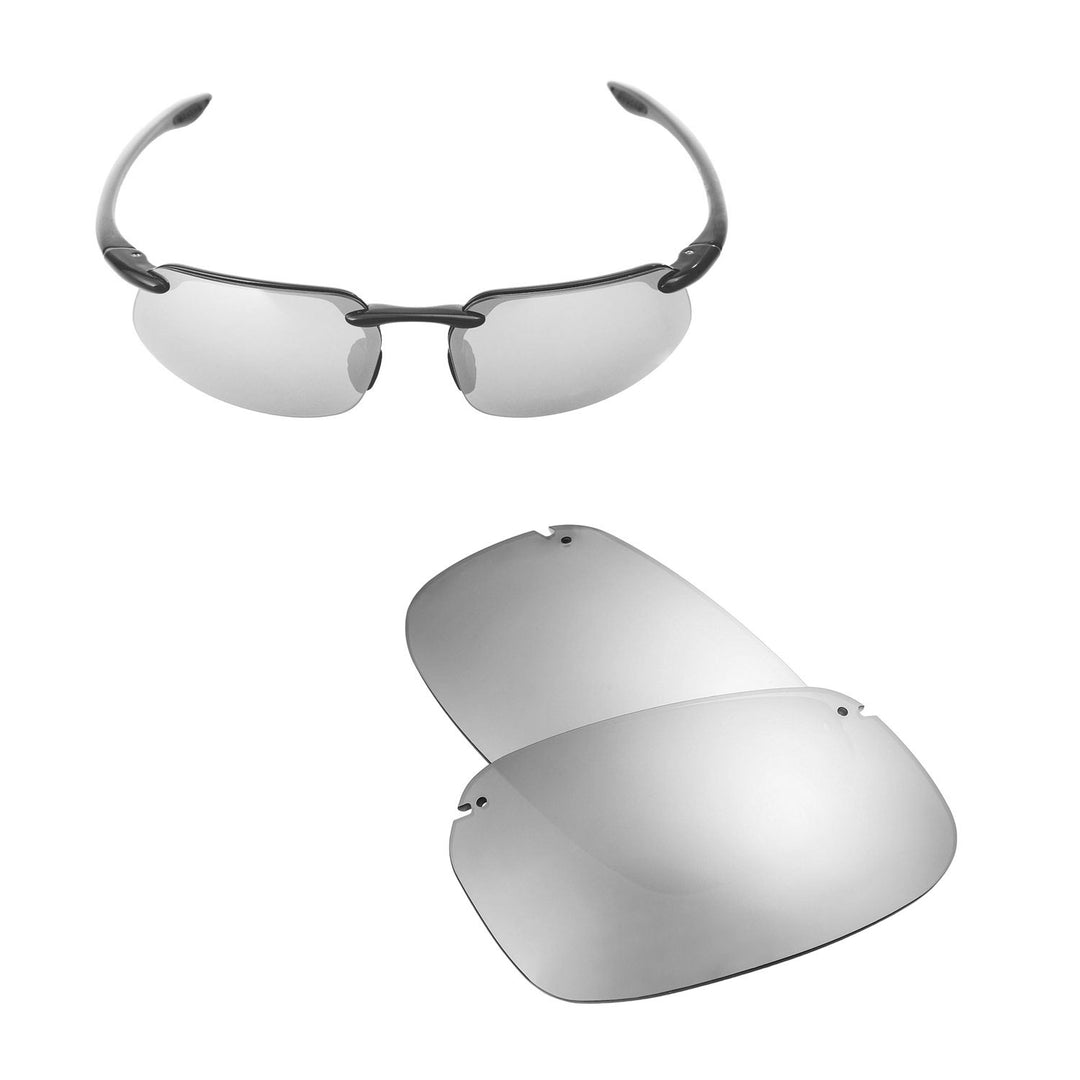 Titanium Mr. Shield Polarized