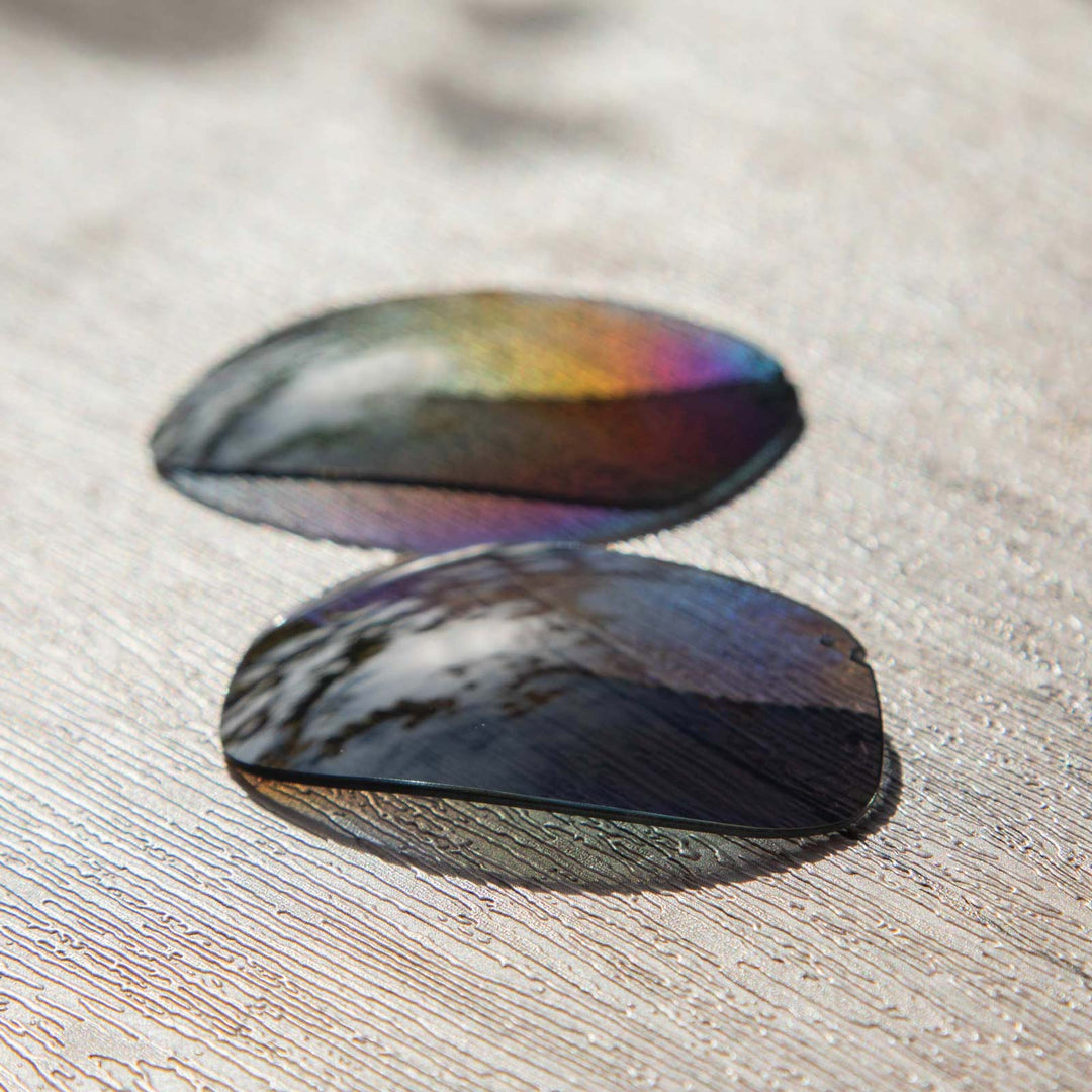 Black Mr. Shield Polarized