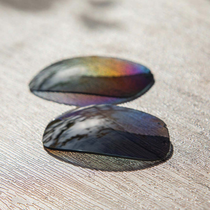 Black Mr. Shield Polarized