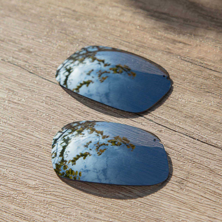 Titanium Mr. Shield Polarized