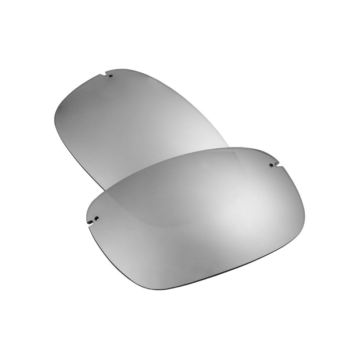 Titanium Mr. Shield Polarized