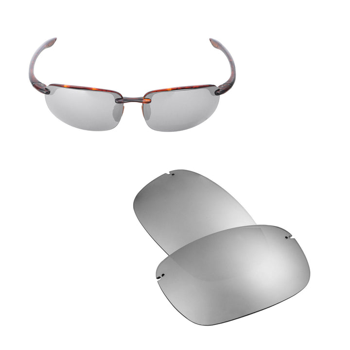 Titanium Mr. Shield Polarized