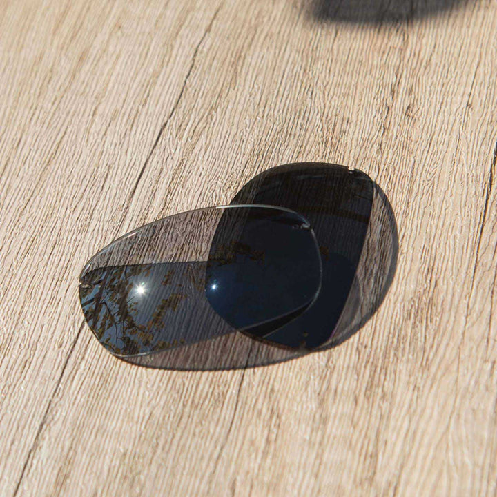 Black Mr. Shield Polarized