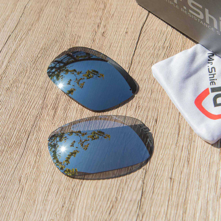 Titanium Mr. Shield Polarized