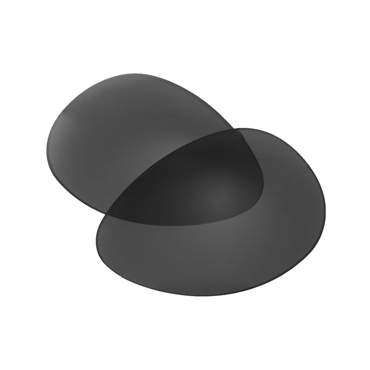 Black Mr. Shield Polarized