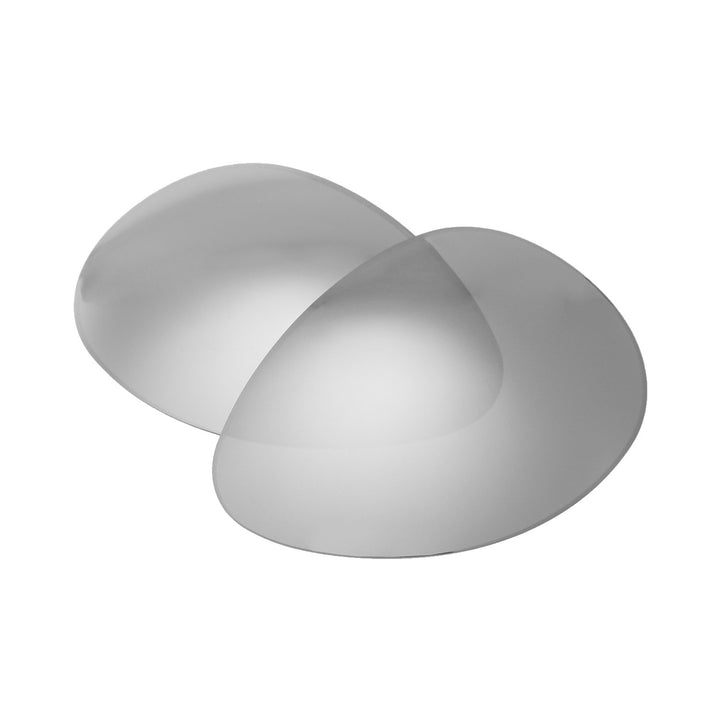 Titanium Mr. Shield Polarized