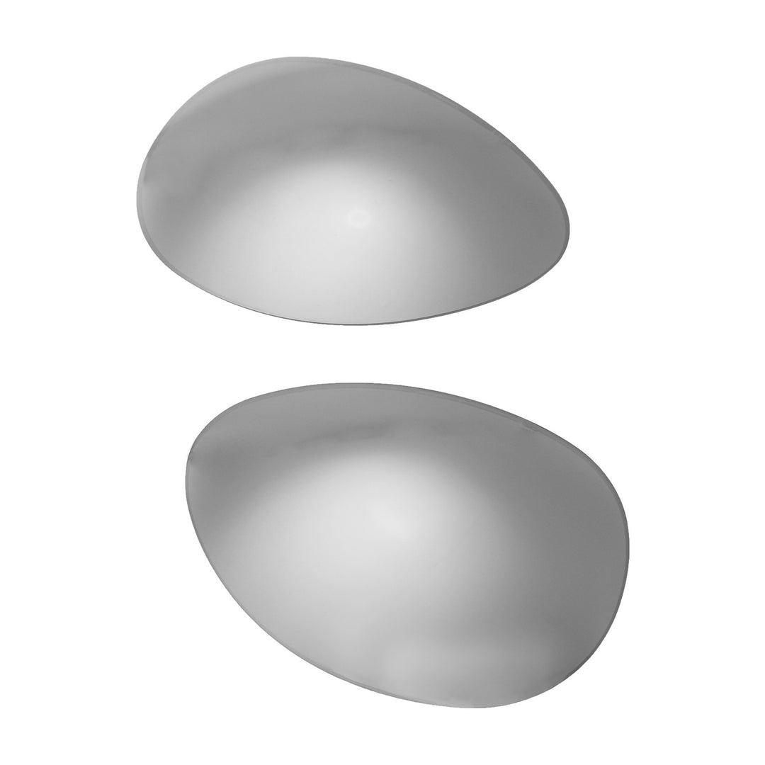 Titanium Mr. Shield Polarized