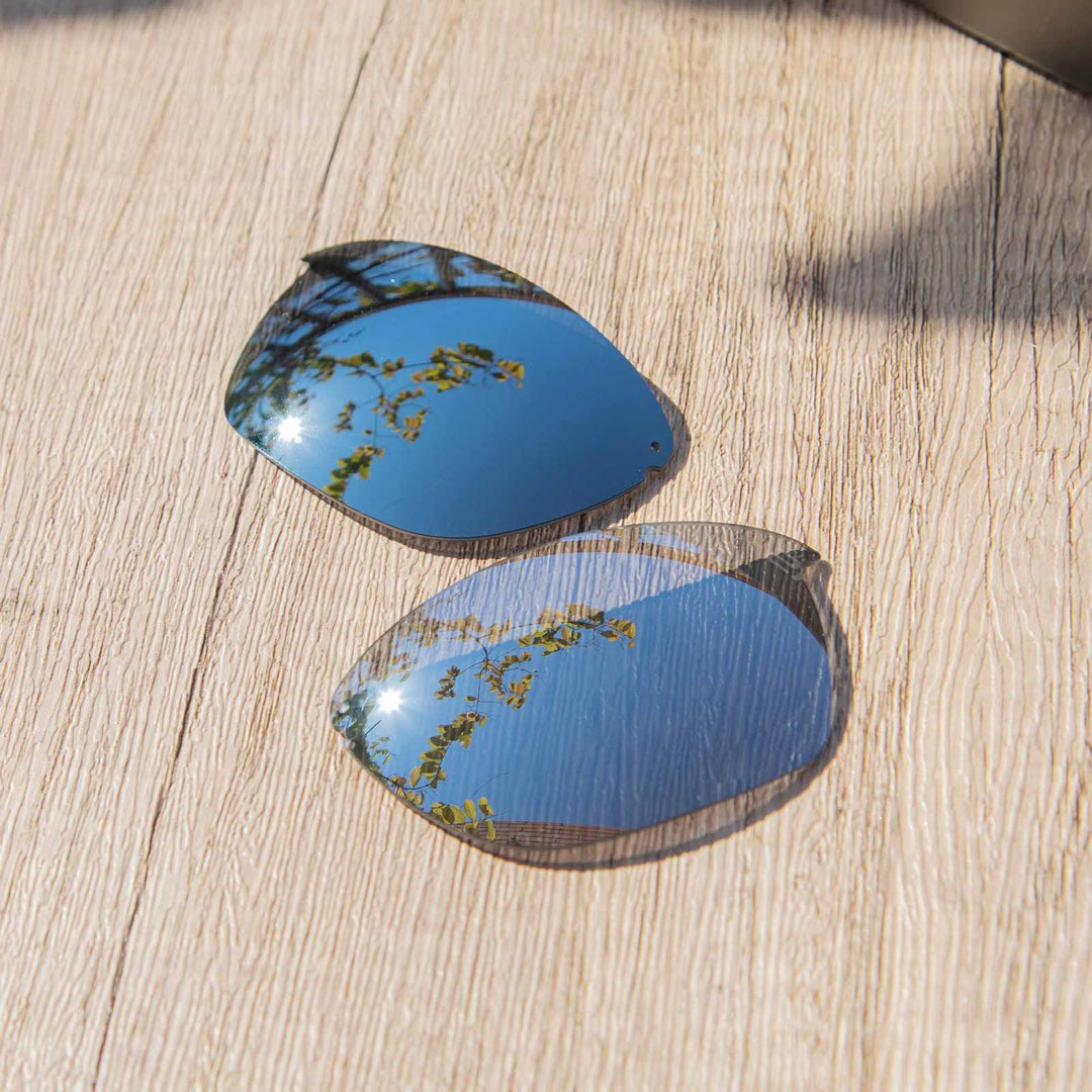Titanium Mr. Shield Polarized
