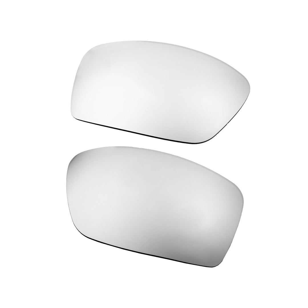 Titanium Mr. Shield Polarized