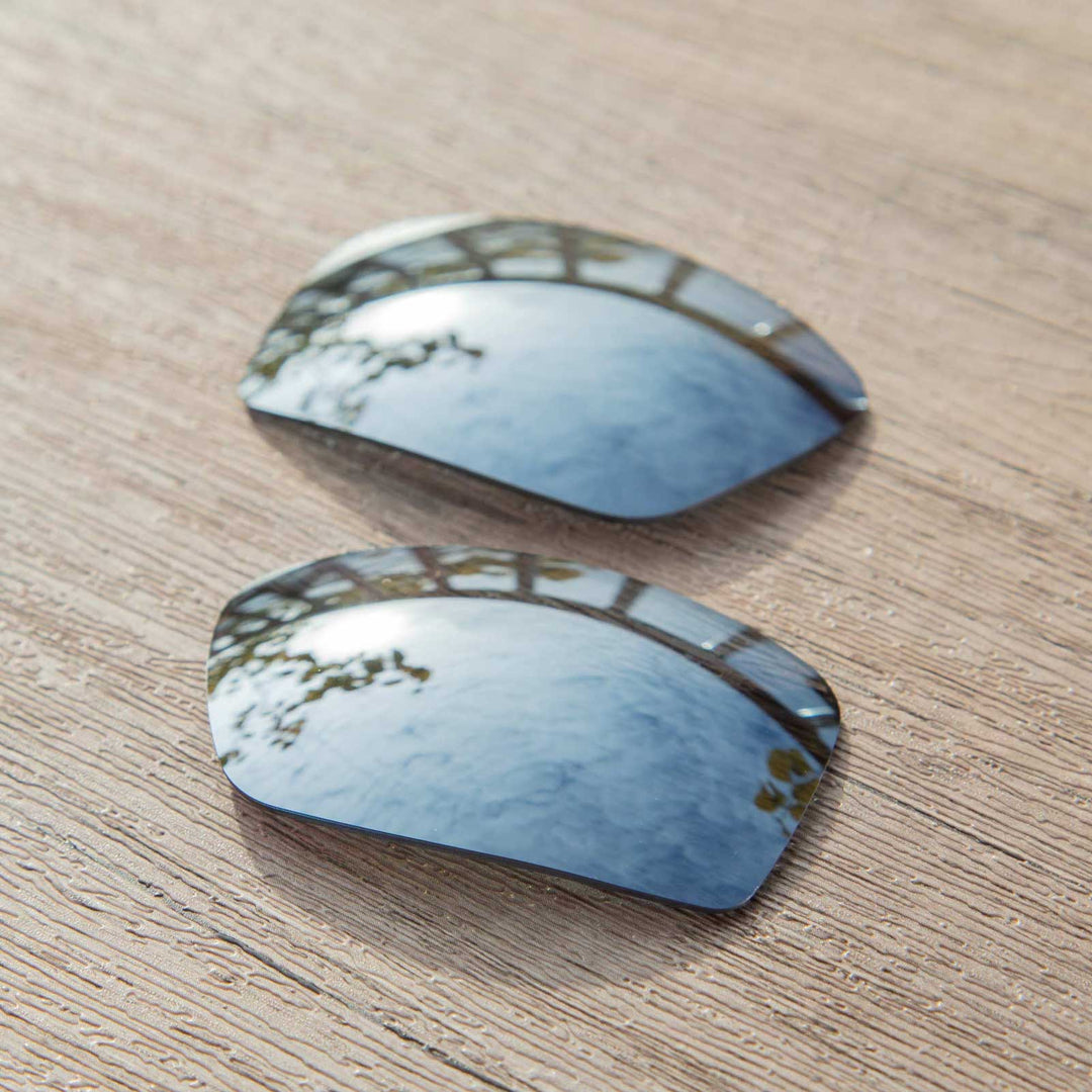 Titanium Mr. Shield Polarized