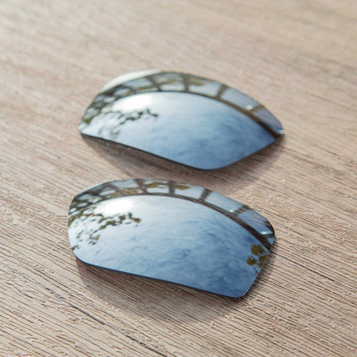 Titanium Mr. Shield Polarized