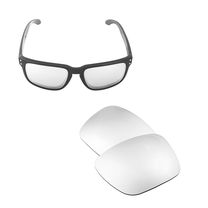 Titanium Mr. Shield Polarized