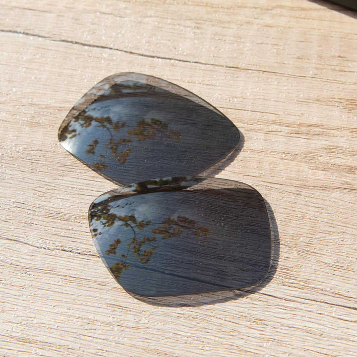 Black Mr. Shield Polarized
