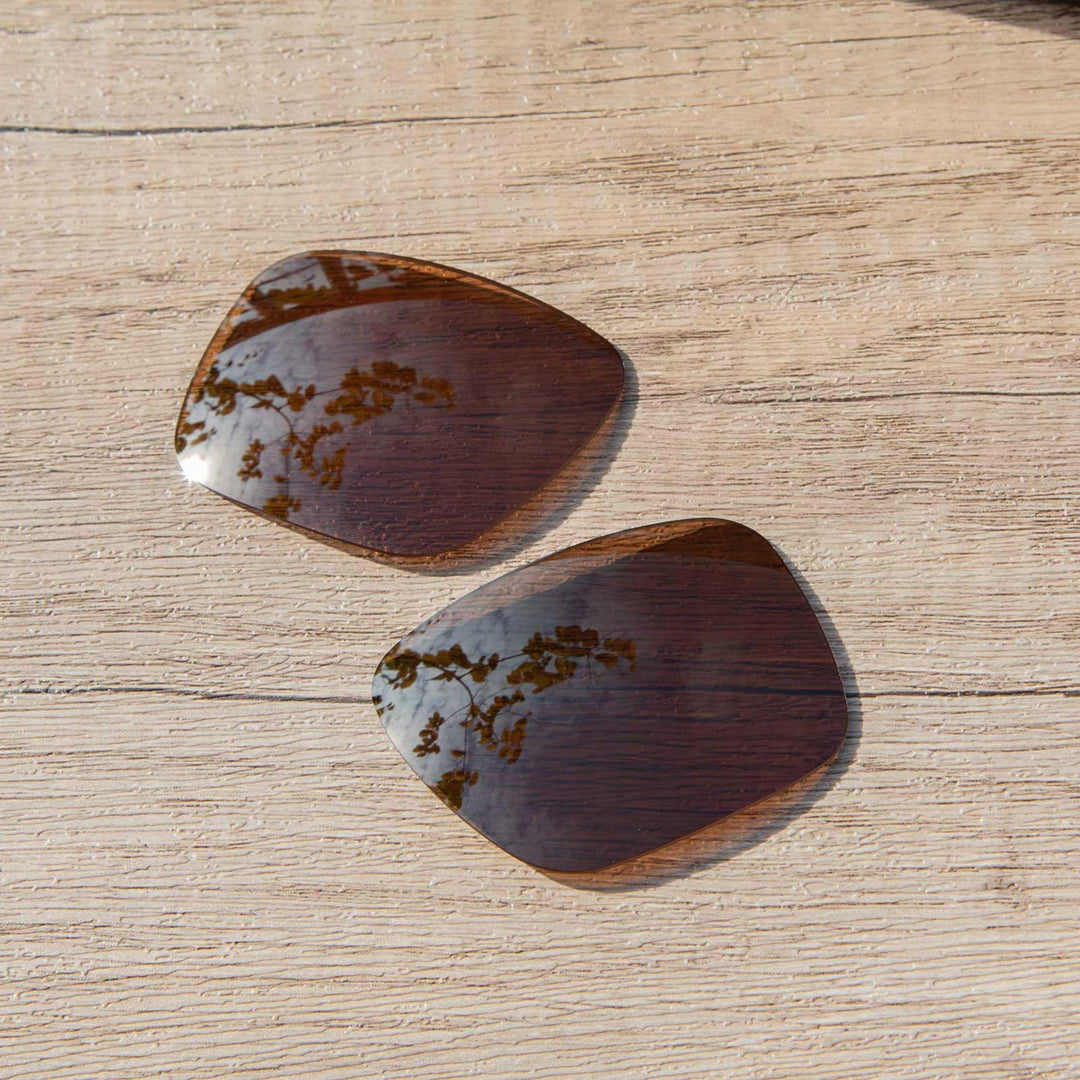 Brown Mr. Shield Polarized