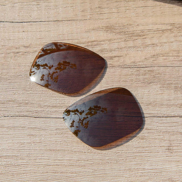 Brown Mr. Shield Polarized