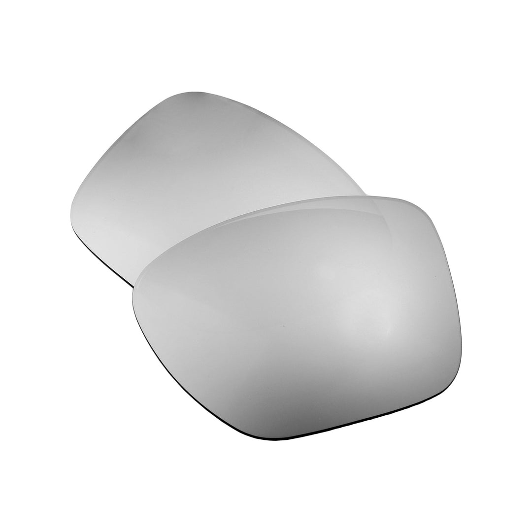 Titanium Mr. Shield Polarized