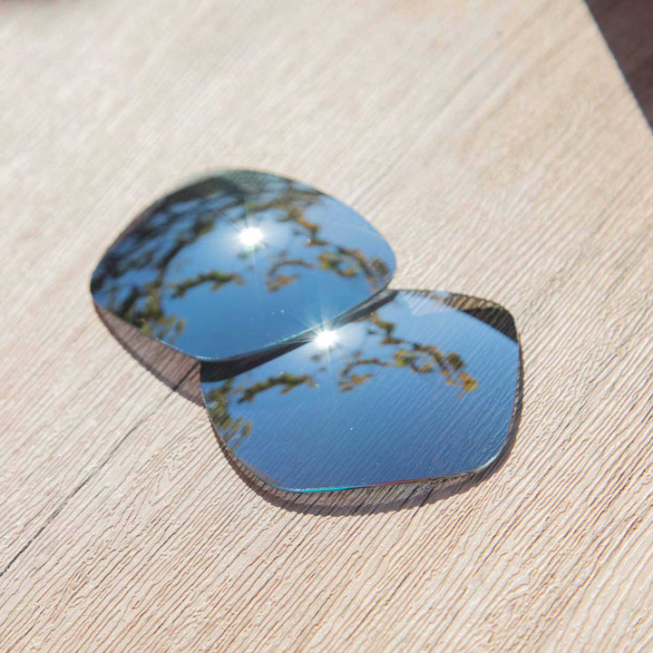 Titanium Mr. Shield Polarized