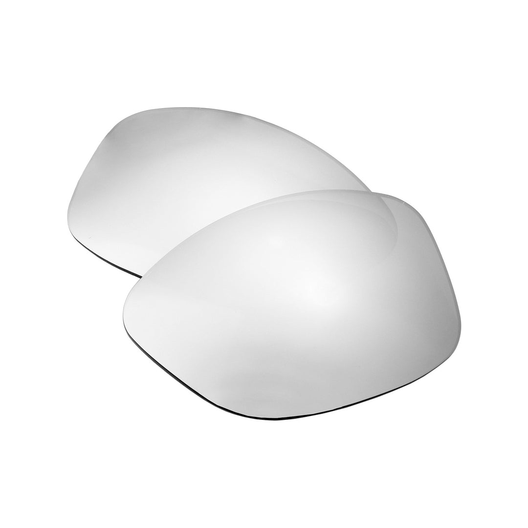 Titanium Mr. Shield Polarized