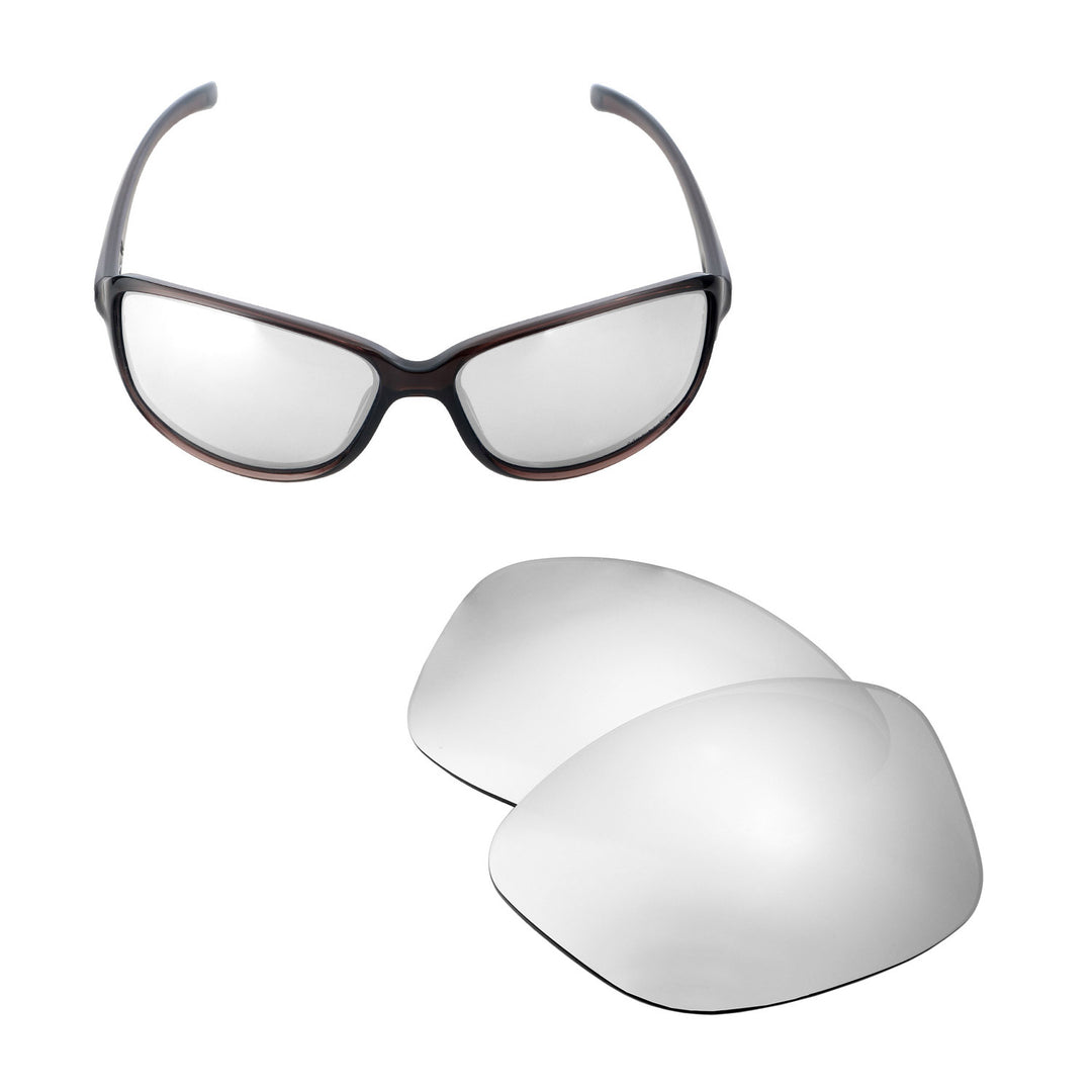 Titanium Mr. Shield Polarized