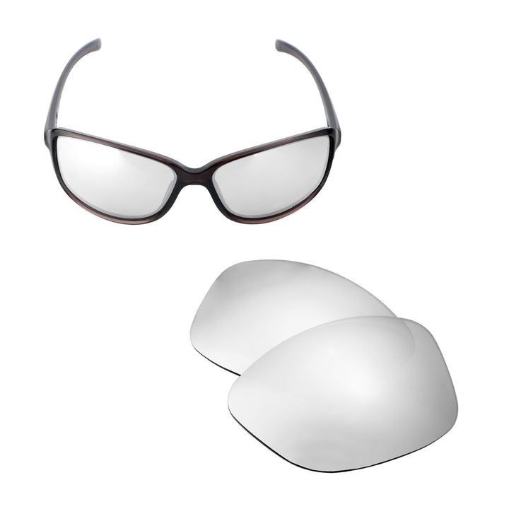 Titanium Mr. Shield Polarized